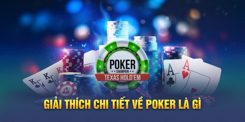 Zini Club-Khám phá thế giới casino trực tuyến cùng chúng tôi!